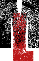 Martin Lebioda Logo